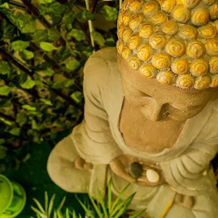 Paz & - Peace & Гостевой дом *