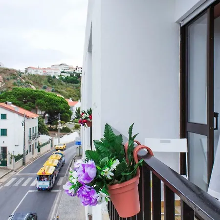 Гостевой дом Paz & - Peace & *