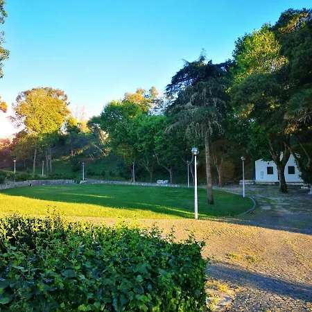 Paz & - Peace & Назаре