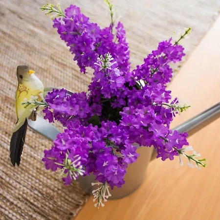 Гостевой дом Paz & - Peace & Назаре