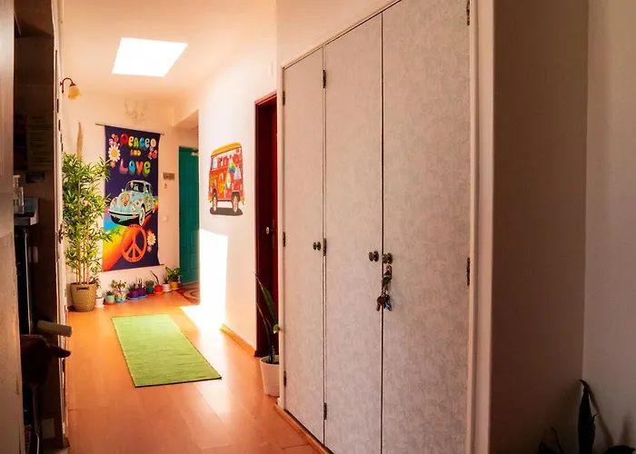 Paz & - Peace & * נאזרה