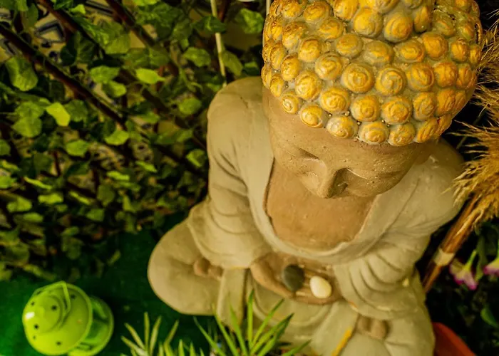 Paz & - Peace & בית הארחה *