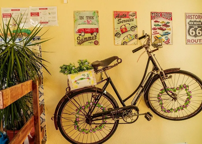 Paz & - Peace & נאזרה