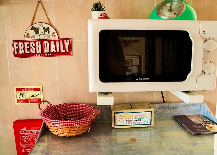 Paz & - Peace & * נאזרה