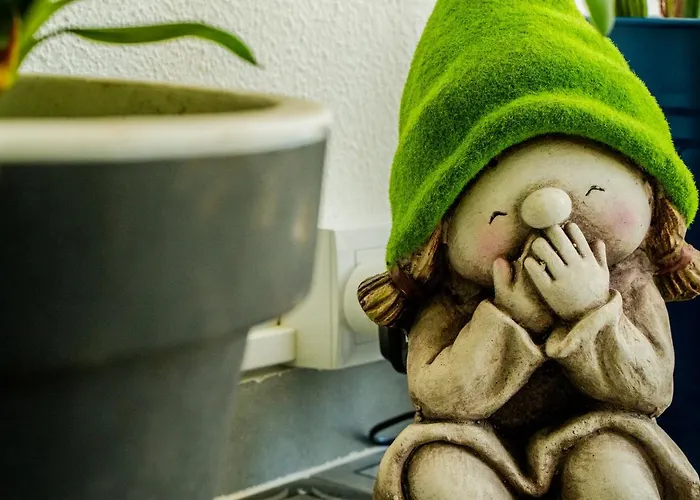 Paz & - Peace & * נאזרה