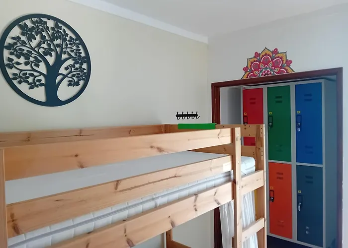 Paz & - Peace & נאזרה