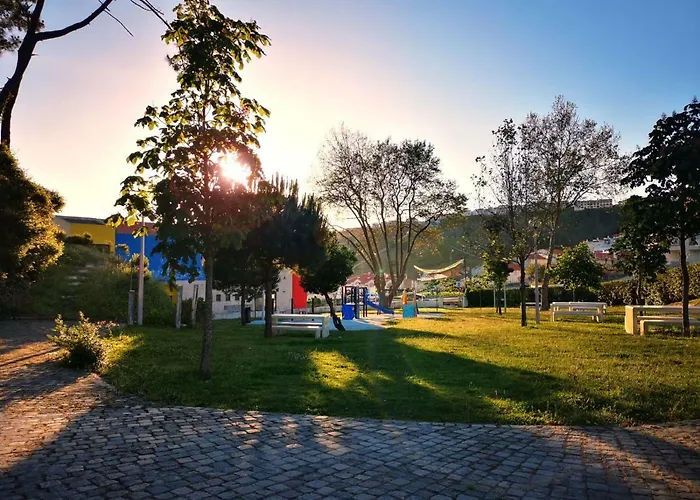 Paz & - Peace & נאזרה