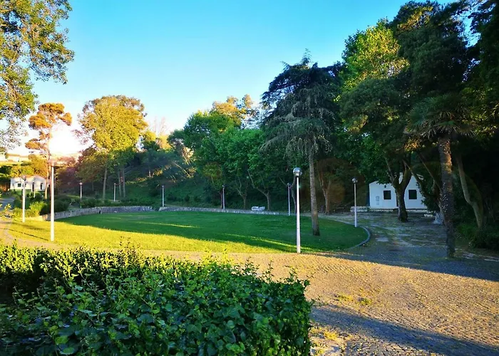 Paz & - Peace & נאזרה