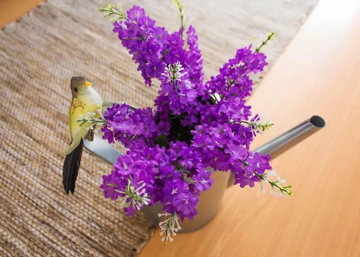 בית הארחה Paz & - Peace & נאזרה